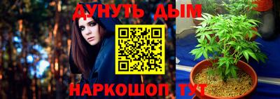 прущие крисы Северобайкальск